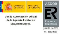 curso oficial azafata vuelo