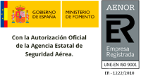 curso oficial azafata vuelo